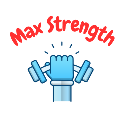 Upgraded MAX Strength SeniorSafe Handle